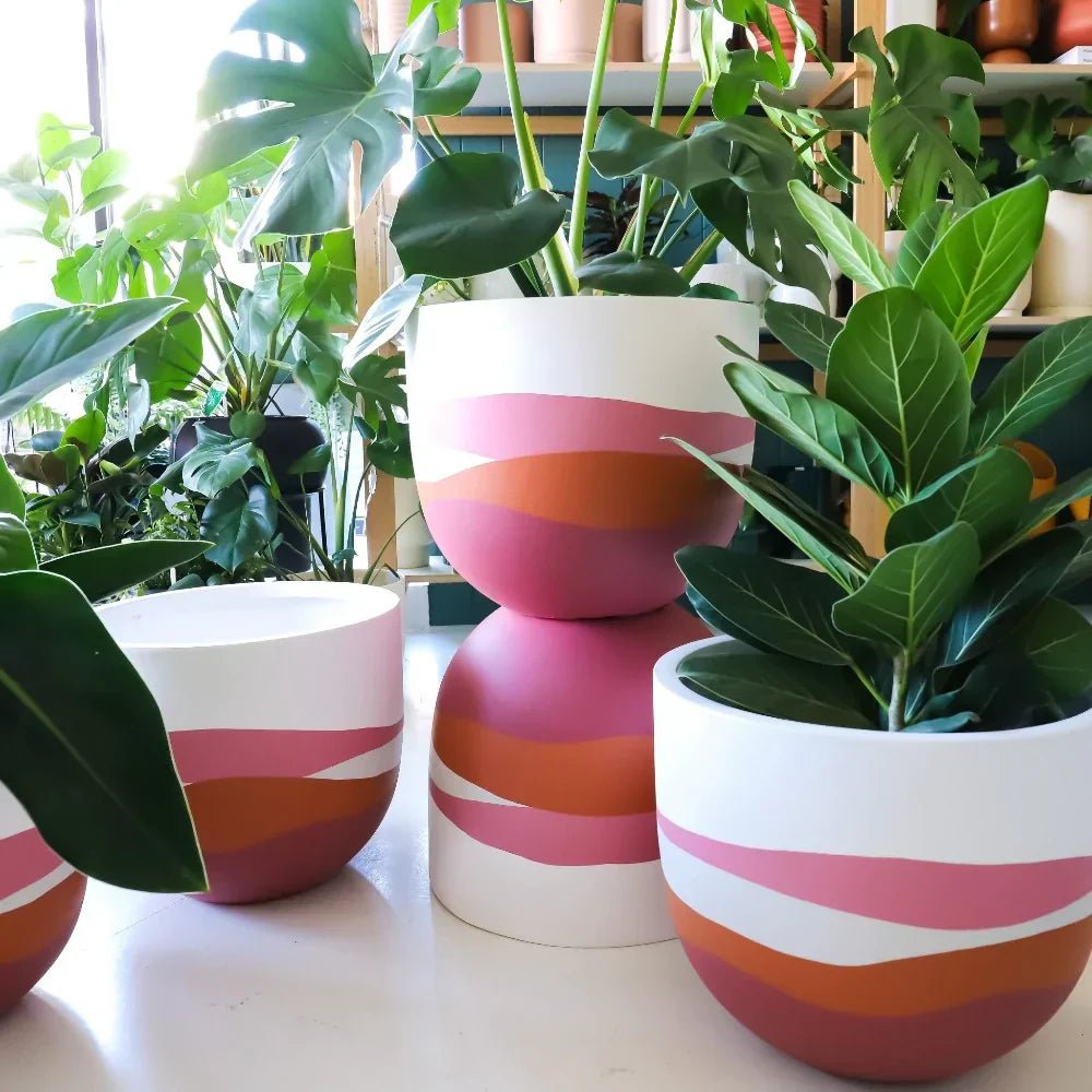 Plants & Flowers