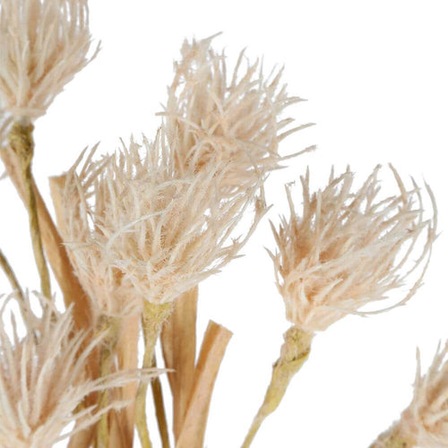 Artificial Plant Decor Wheat Flower Stem White Faux Plant Decor 75cm