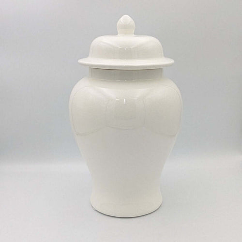 Ginger Jar Off-White Egg Shaped Stirling Temple Jar Minimalist Ceramic