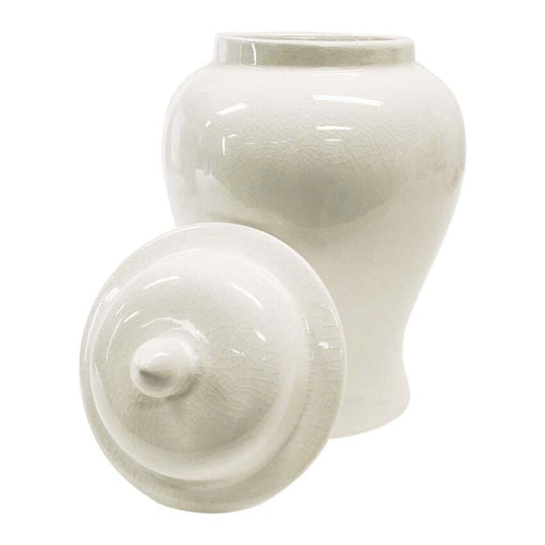 Ginger Jar Off-White Egg Shaped Stirling Temple Jar Minimalist Ceramic