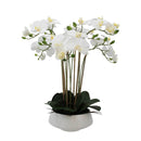 Large White Artificial Orchid White Pot 51cm