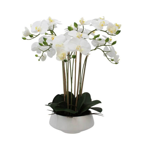 Large White Artificial Orchid White Pot 51cm