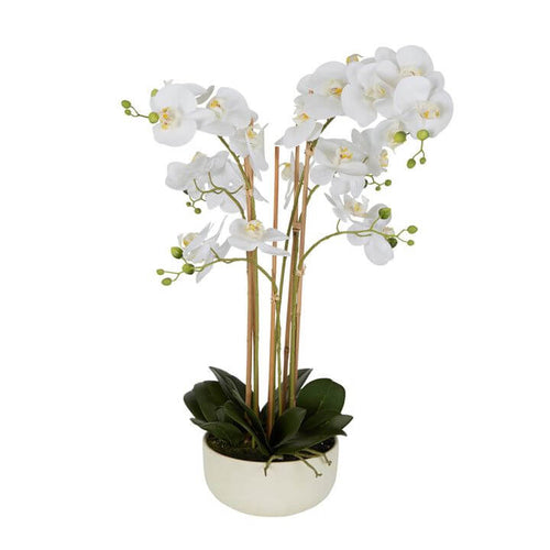 Lifelike Real Touch Artificial Orchid 71cm