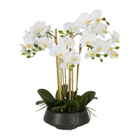 Lifelike White Orchid Black Pot 51cm