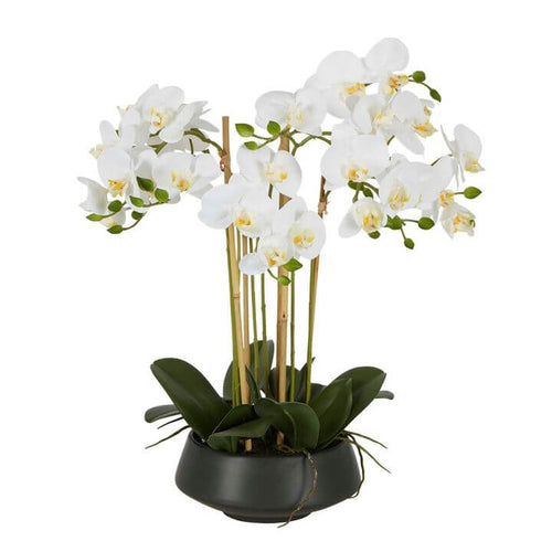 Lifelike White Orchid Black Pot 51cm