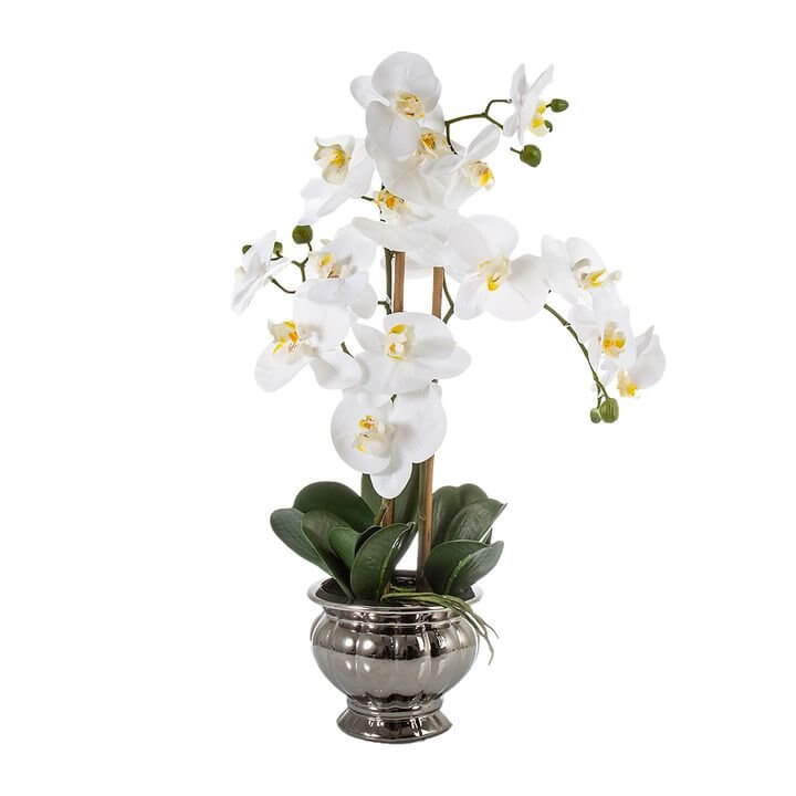 Lifelike White Orchid in Silver Bowl 60cm