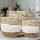 Modern Woven Basket Set Natural Fibers