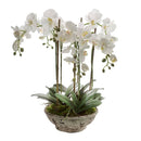 Artificial White Realistic Faux Orchid 65cm Luxury Co