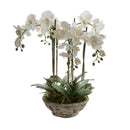 Artificial White Realistic Faux Orchid 65cm Luxury Co