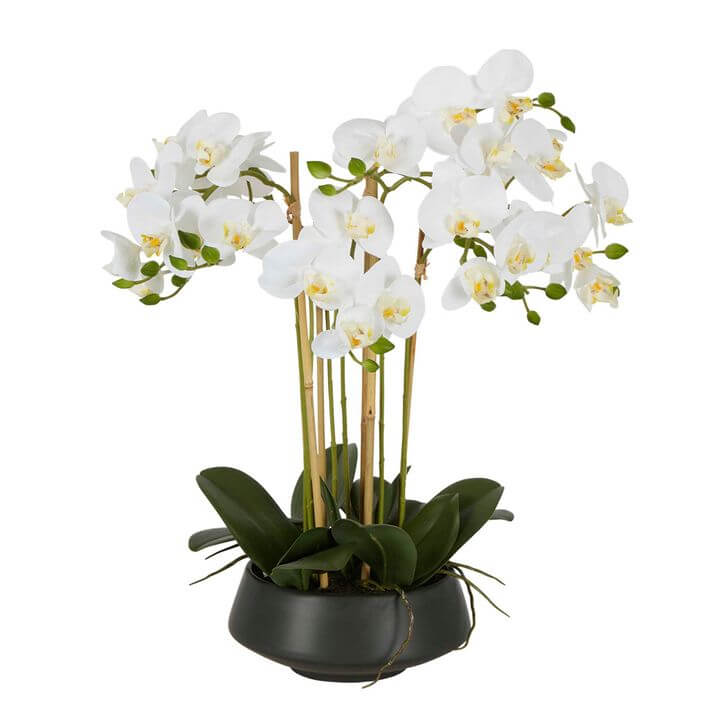 Large White Orchid in Black Pot Artificial Orchid 51cm
