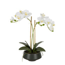 Medium White Orchid Black Pot Artificial Real Look 41cm - Luxury Co