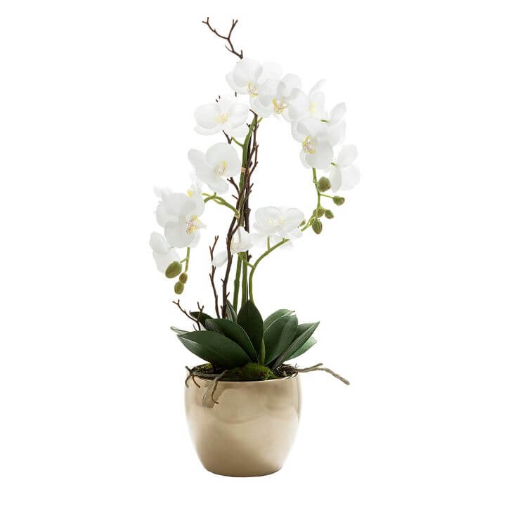 Elegant White Orchid in Gold Ceramic Pot - 60cm