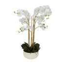 Real Touch Orchid Potted White Artificial Plant 71cm - Luxury Co