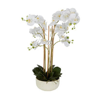 Real Touch Orchid Potted White Artificial Plant 71cm - Luxury Co